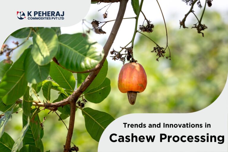 Trends and Innovations in Cashew Processing